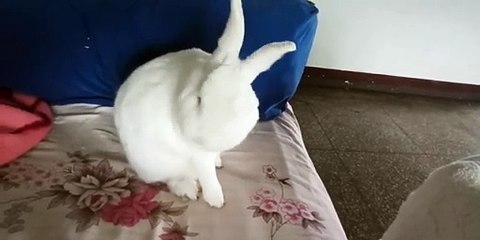 MMA Kiss Off | Ariel X, Lilly Bell, Kimmy Kimm