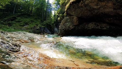 Water flowing in a forest natural stock video.