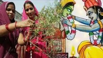 Tulsi Vivah Puja Vidhi 2023: घर में तुलसी विवाह कैसे करें | Tulsi Vivah Kaise Karen | Boldsky