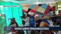 Kurangi Sampah Dengan Maggotisasi