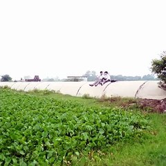 A thrilling video about crime, sex, entertaiment