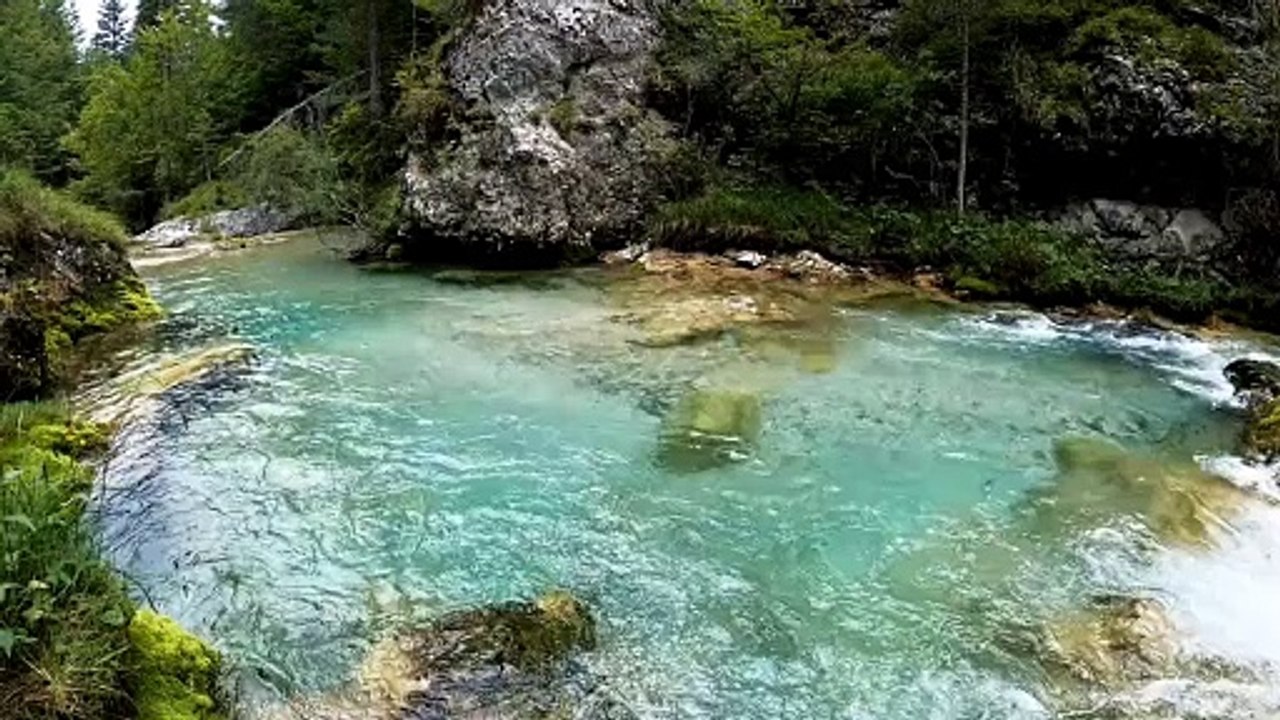 Water flowing in a forest natural stock video.