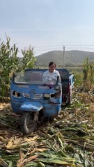 Today I went to the field and plucked corn from there | After coming home, I made very tasty sweets.
