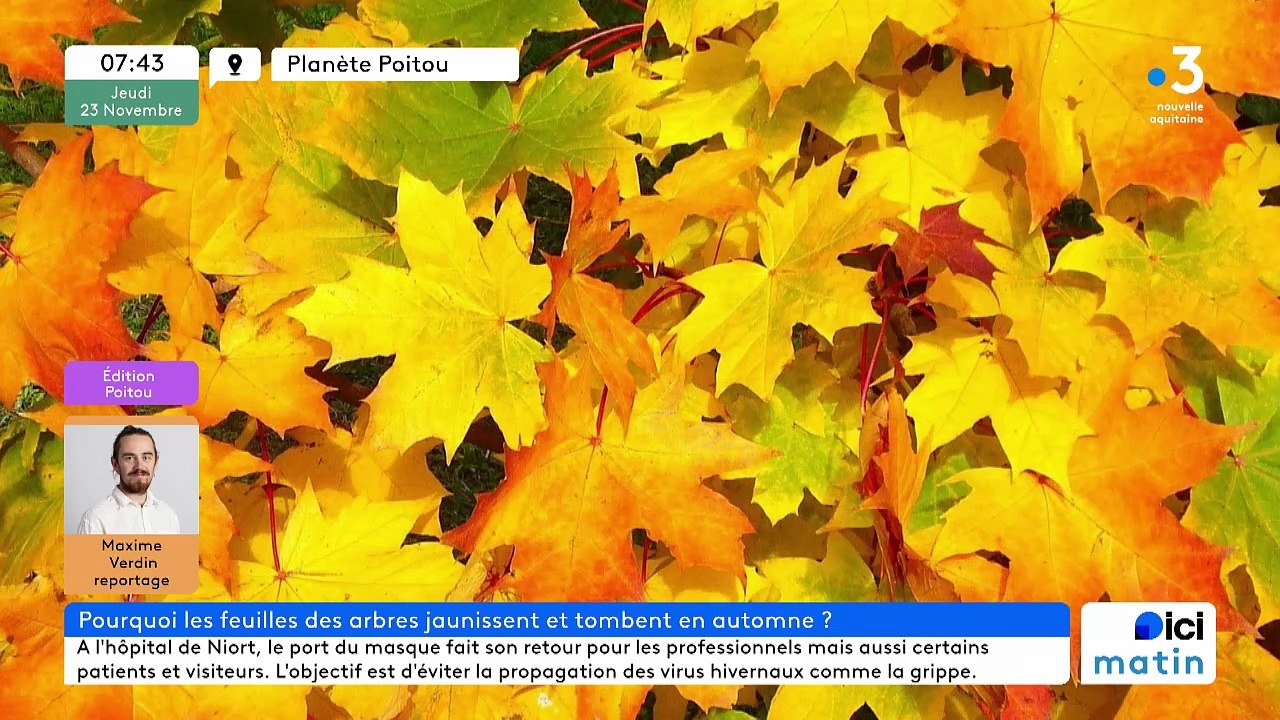 23/11/2023 - Le 6/9 de France Bleu Poitou en vidéo