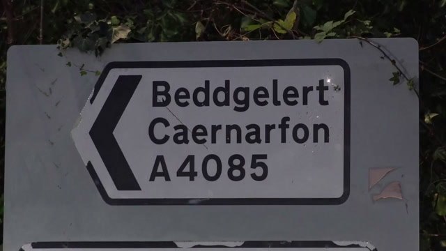 Bodies of four missing teenagers found inside crashed car