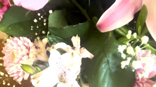 Arielle Dombasle a rendu publiquement hommage à son défunt frère, mort il y a sept mois, à travers cette vidéo mélancolique