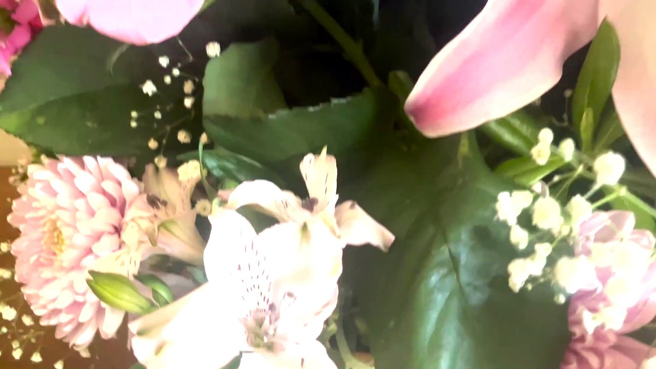 Arielle Dombasle a rendu publiquement hommage à son défunt frère, mort il y a sept mois, à travers cette vidéo mélancolique