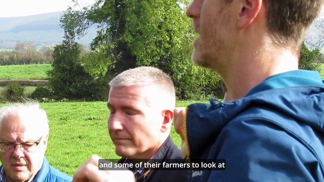 RSPB NI and dairy industry join forces to launch A Guide to Nature Positive Dairy Farming