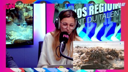 Nos régions ont du talent - Ivre, il s'insère dans le convoi CRS et les suit jusqu'à leur caserne