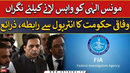 Caretaker Federal Govt contact Interpol to bring back "Moonis Elahi"