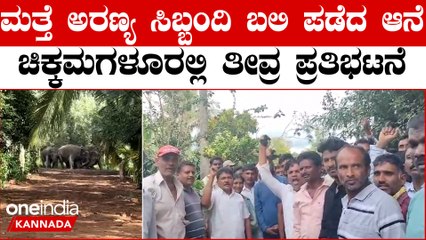 Elephant 15 ಲಕ್ಷ ಪರಿಹಾರ ಬೇಡ - ಆನೆಯಿಂದ ಶಾಶ್ವತ ಪರಿಹಾರ ಕೊಡಿ