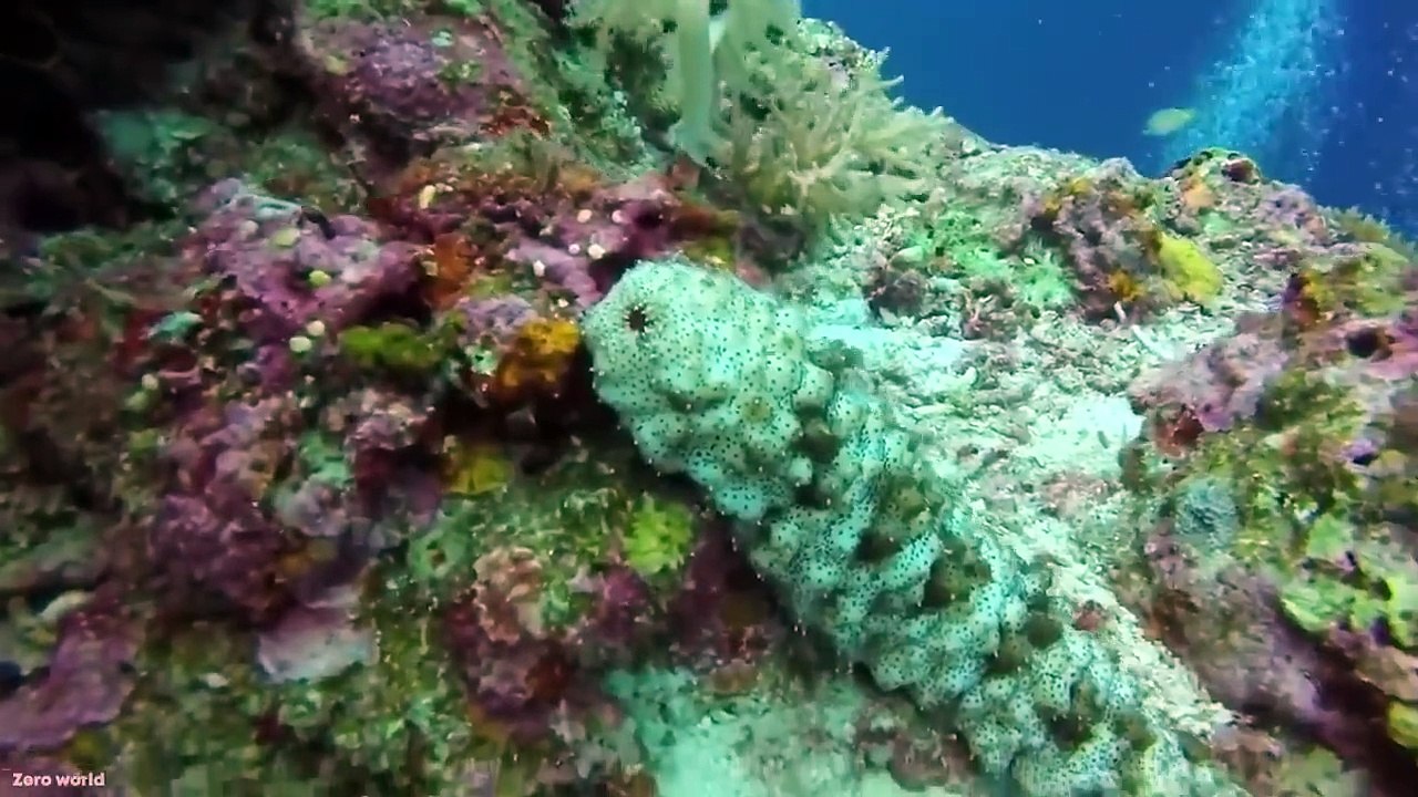 15 Unbelievable things animals can do