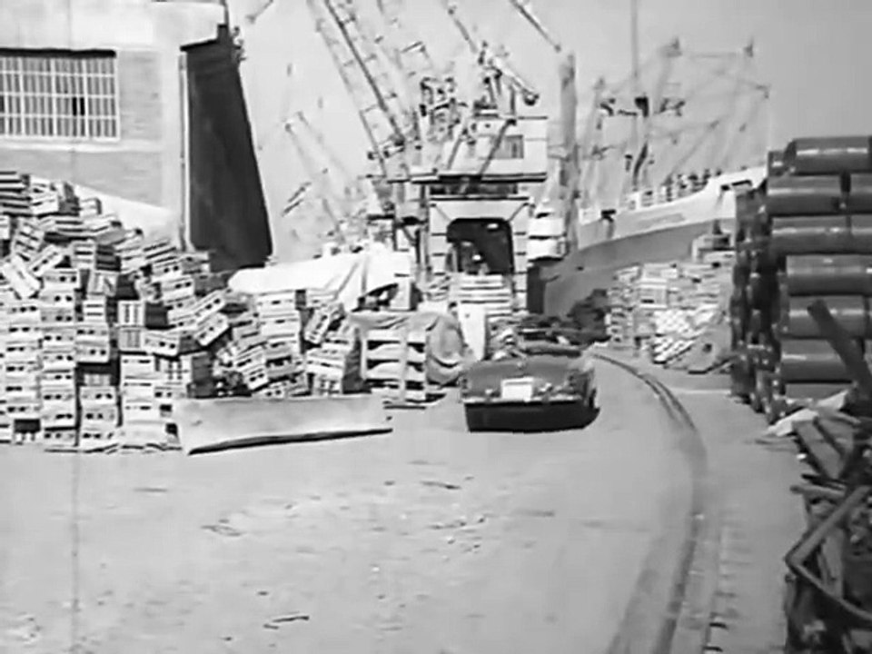 Ο ΠΟΥΛΗΜΕΝΟΣ ΑΝΘΡΩΠΟΣ - 1967 - VHSRip - 720x516