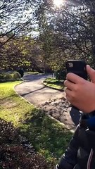 Thanksgiving Surprise: Daughter's Cross-Country Journey to Reunite! || #heartsome #thanksgiving