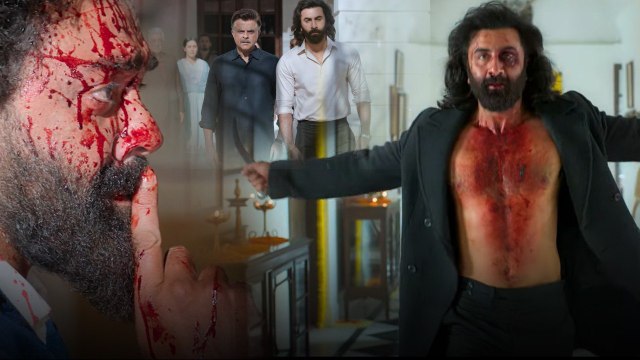 Animal Trailer లో ఈ హైలైట్స్ గమనించారా..| Sandeep Reddy Vanga | Telugu Filmibeat