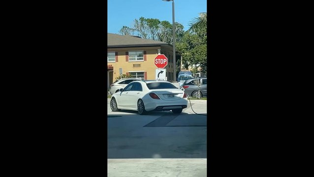 Florida driver rips pump from gas station after filling up car