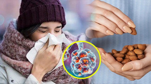 Fact Check: Winter में Almond खाने से Cold होता है क्या |Sardi Mein Badam Khane Se Kya Hota Hai
