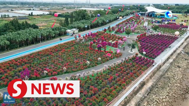Canadian expat explores booming flower and tree industry in S. China