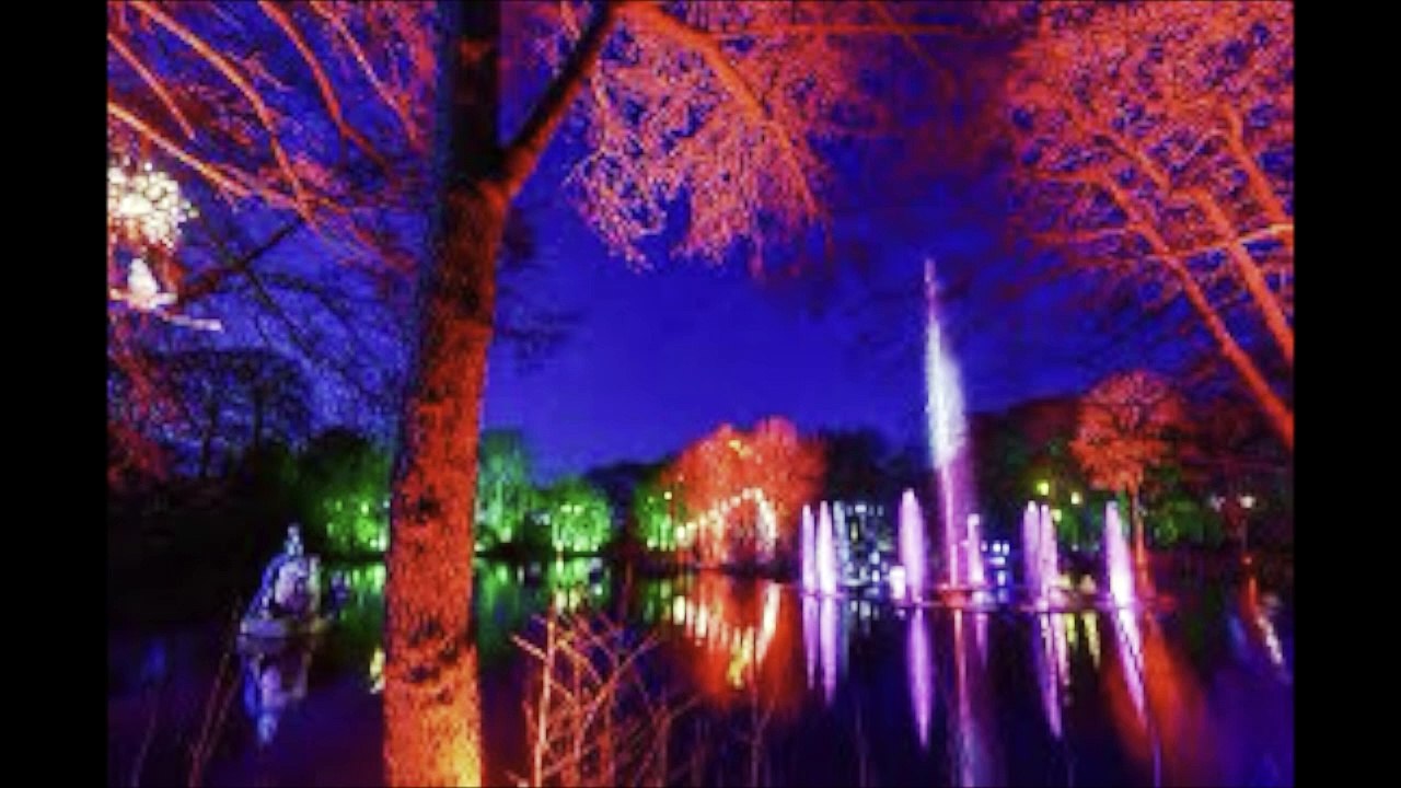 Best Christmas Days Out Experiences in Yorkshire video Dailymotion