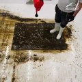 The Shocking Before and After ! This Filthy Rug Timelapse Will Leave You Speechless