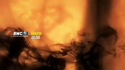 Nostradamus, les prophéties révélées