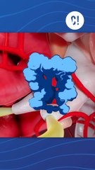 Pousser aux WC = Danger m0rtel ?