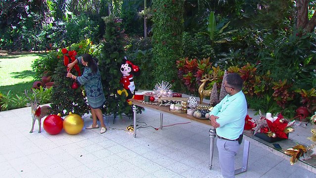 bd-como-colocar-luces-y-adornos-del-arbol-de-navidad-231123