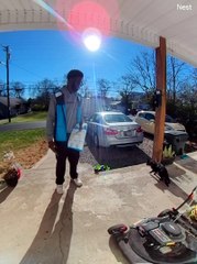 Cat Greets Amazon Delivery Driver