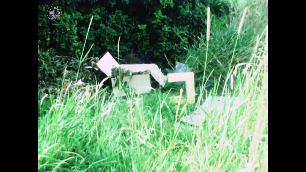 Old footage shows environmental efforts to clean up Leeds waterways in 1980s