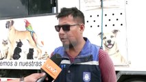 ¿Quién tuvo la culpa?: Niña acarició a un perro en la calle y el animal le mordió la cara