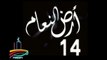 المسلسل النادر  أرض النعام  -   ح 14  -   من مختارات الزمن الجميل