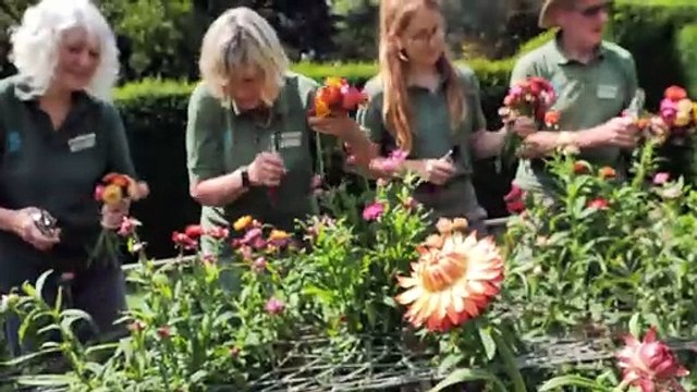 Christmas garland making at Cotehele - from January to November, using 30,000 flowers