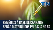 Remédios à base de cannabis serão distribuídos pelo SUS no Espirito Santo