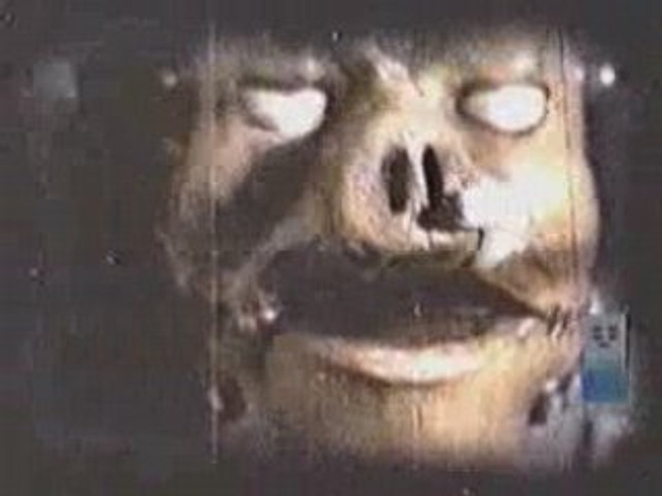 [VIDEO CLIP] Slipknot - Wait and Bleed