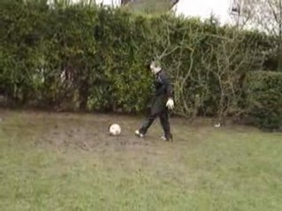 MOV06135