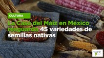 La Casa del Maíz en México resguarda 45 variedades de semillas nativas