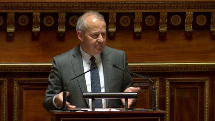 Budget 2024, la méthode du gouvernement épinglée au Sénat: "Vous organisez la démocratie à l’envers"