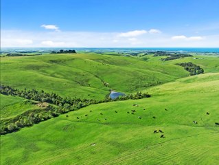 Woolamai farm, South Gippsland | November 24, 2023 | Farmonline