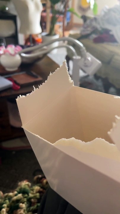 Helpful Bird Trims Edge Off Box