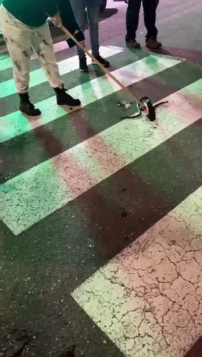 Serpente in centro città a Messina