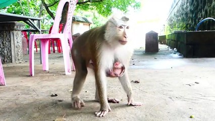 Cute Mark Baby Showing His Happiness Since He Gradually Growing Up