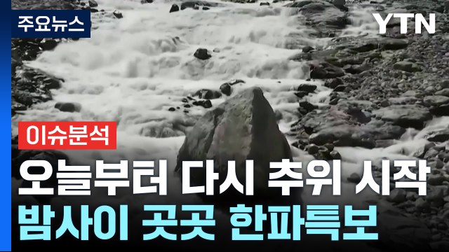 [뉴스라이더] 하루 만에 기온 '뚝'...추워진 날씨에 놀란 은행잎? / YTN