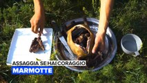 Assaggia se hai coraggio: Marmotte