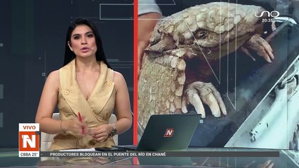 Rescatista hidrata animales afectados por incendios