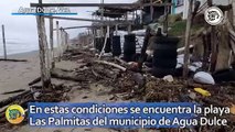 En estas condiciones se encuentra la playa Las Palmitas del municipio de Agua Dulce