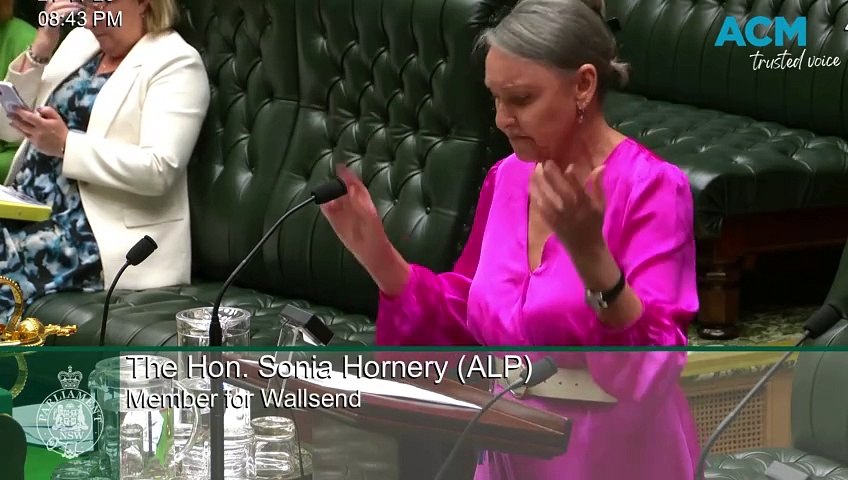 Sonia Hornery speaks on Scott Neylon letters | The Canberra Times ...