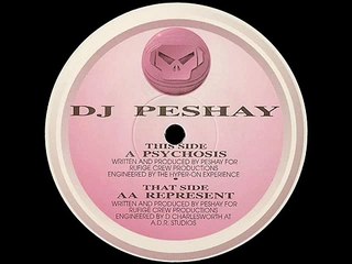 DJ Peshay - Represent