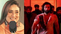 Animal Trailer Bollywood Celebs Reaction: Alia, Neetu, Kareena से लेकर Arjun Kapoor तक, Watch Video