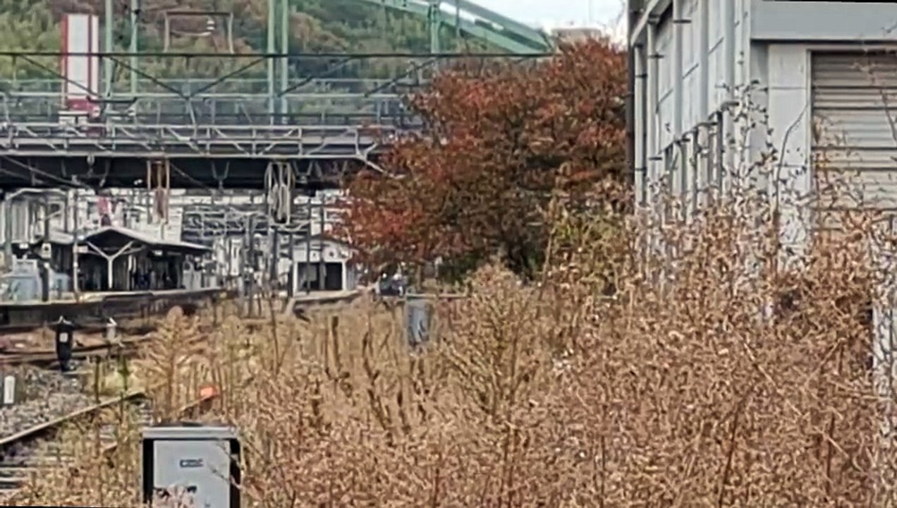 PXL_20231106_091150 67列車・67レ Train 67, 67 re.~2