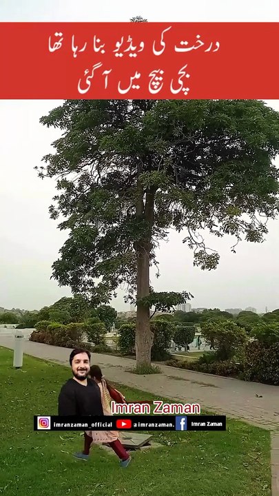 I was making a video of the tree, the girl came in between 